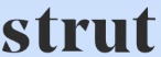 Strut Health